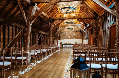 Molly - Wedding Planner