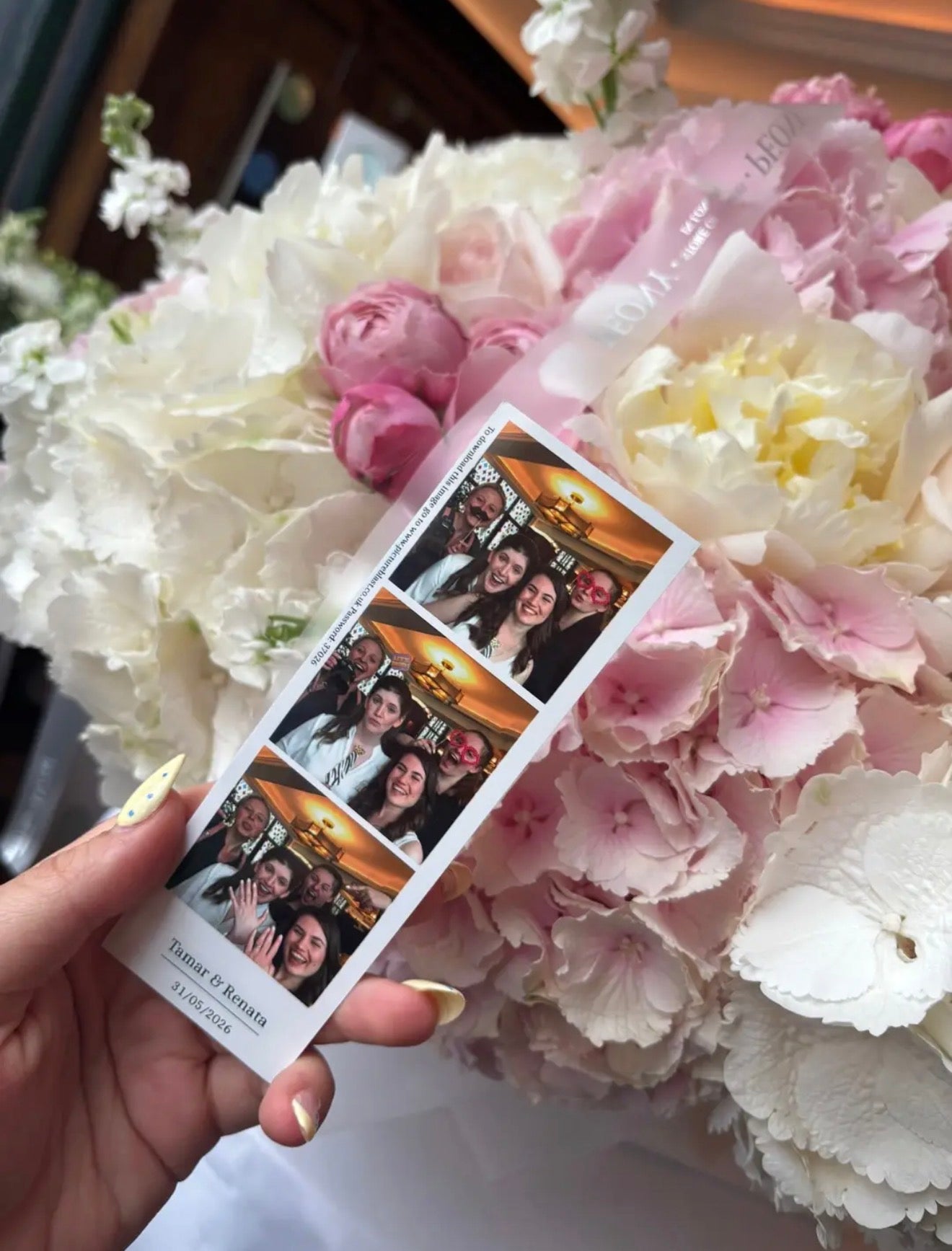 Molly - Wedding Planner