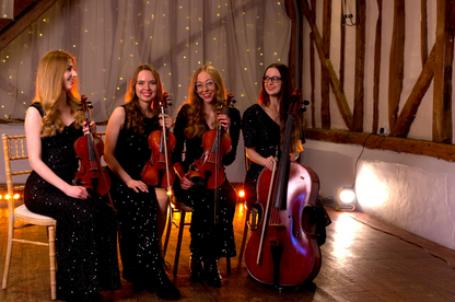 Wedding String Musicians